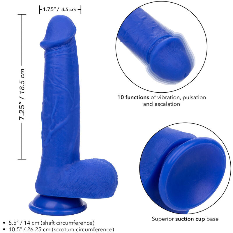 Vibratore Admiral dildo realistico del Capitano blu di Calexotics, immagine 4