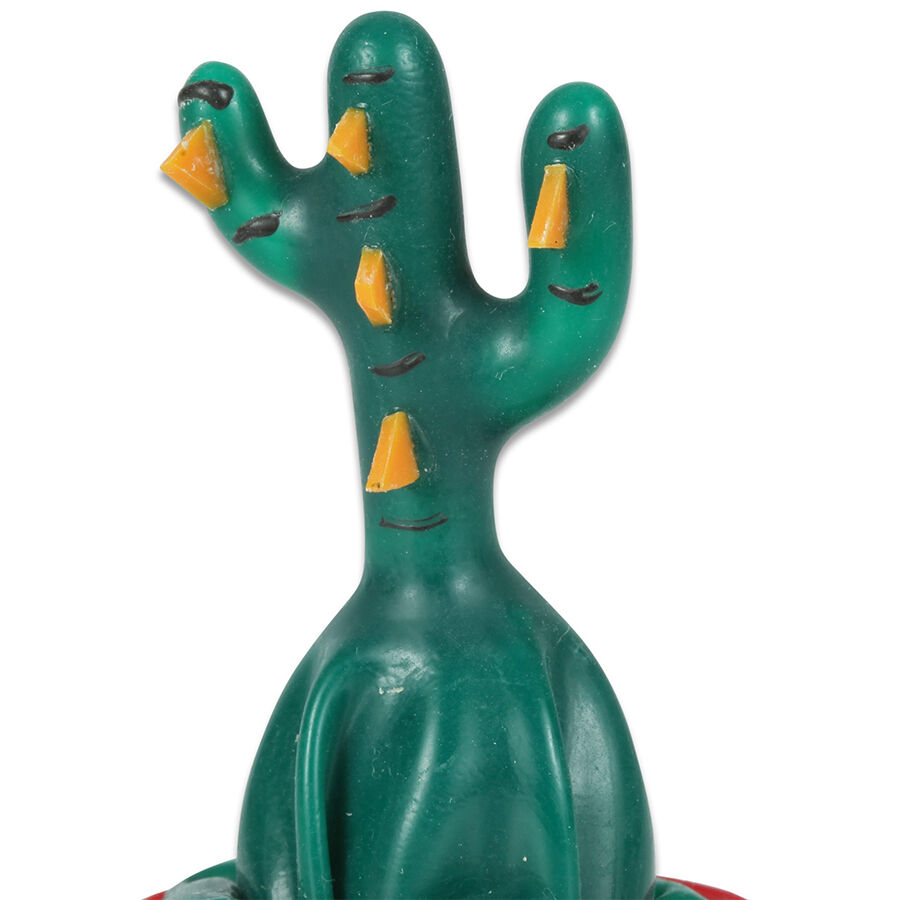Preservativi dipinti a mano Cactus Incollati di Condomerie
