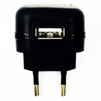 Manette e restrizioni caricatore USB europeo