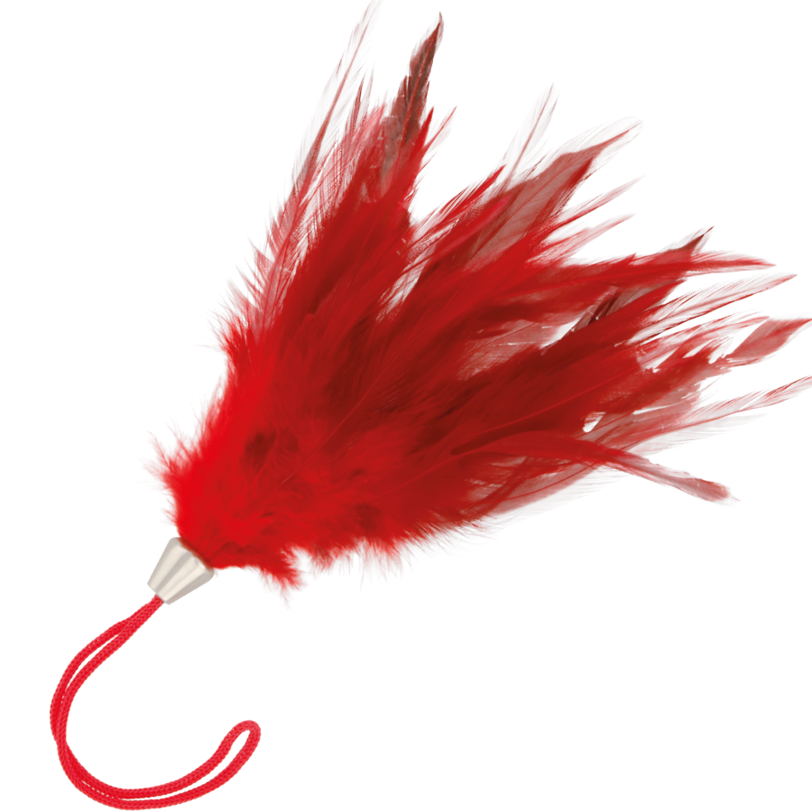 Penna stimolante rossa 17cm di Darkness