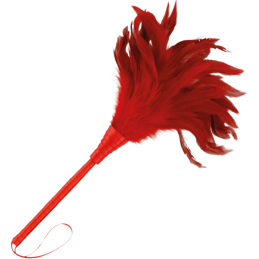 Penna stimolante rossa 24cm di Darkness